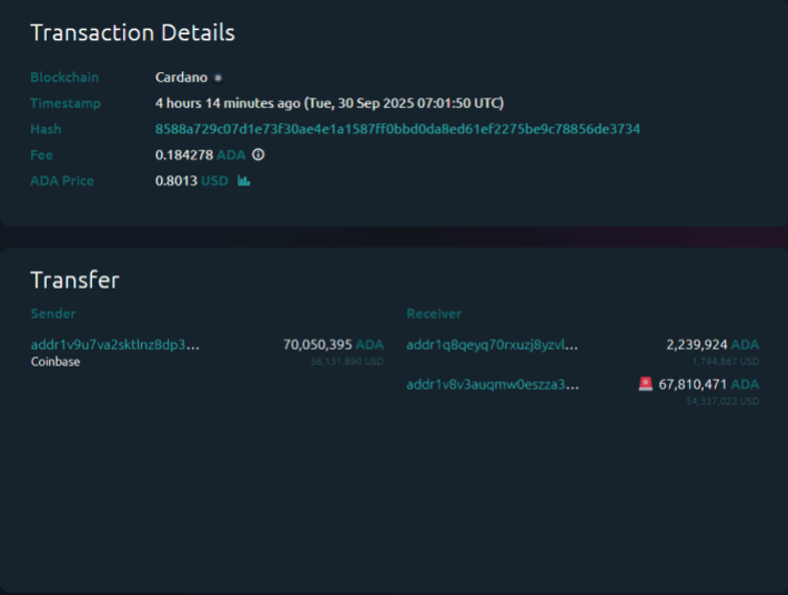 Cardano巨鲸从Coinbase流出5400万美元：是否为逢低买入信号？