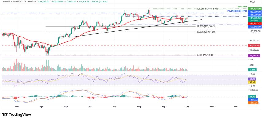 比特币价格预测：BTC 在第三季度表现良好后维持在 114,000 美元以上