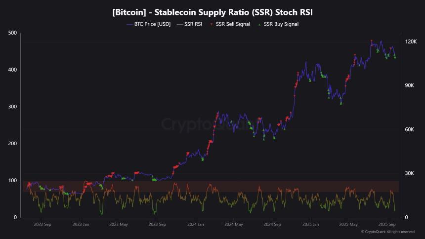  比特币的下一个大动作？CryptoQuant 表示这些警报值得关注 