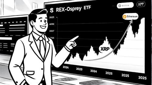 XRP 的强劲崛起：加密货币市场新机遇的引领者