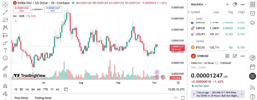 柴犬币价格预测:随着表情包季结束,SHIB 是否会跌出 CoinMarketCap 前 100 名