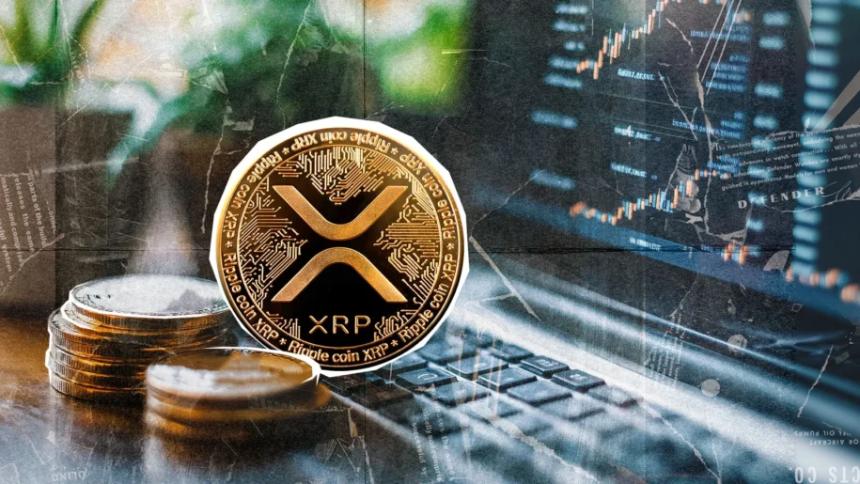 Ripple 推动数字资产中心发展，BullZilla、Avalanche 和 Cardano 成为 2025 年加密货币市场焦点