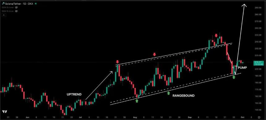 Solana 生态新动态：投资者聚焦第四季度 Remittix 预售热潮