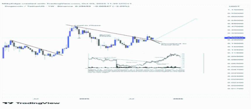 狗狗币面临熔断反弹:这种看涨势头将推动价格上涨至 0.8 美元 ATH
