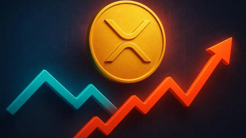 XRP遭遇巨鲸抛售潮：市场面临深度调整压力