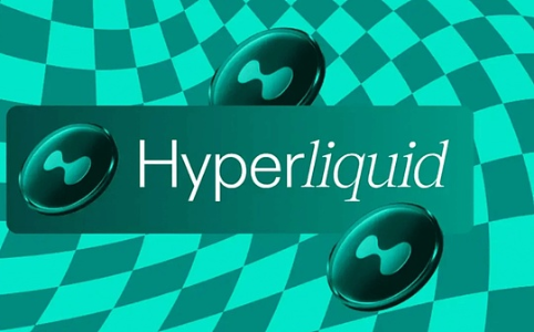 Hyperliquid 来时路（二）：造浪 HyperEVM