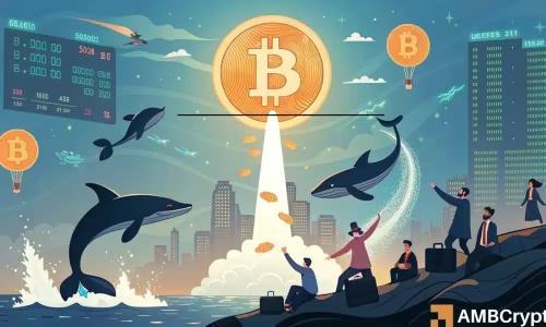 比特币供应紧缩：交易者需关注的关键因素与市场动态