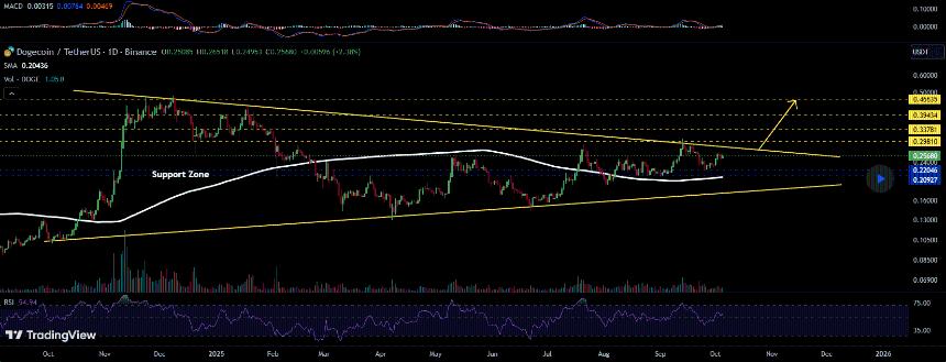 Dogecoin Analysis/Bithereum Dogecoin Analysis/Bithereum_io