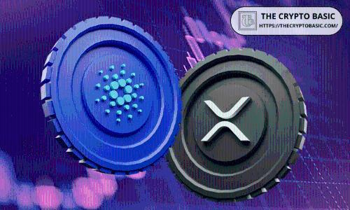 Coinbase交易所Cardano储备激增460%，XRP持有量骤降98%