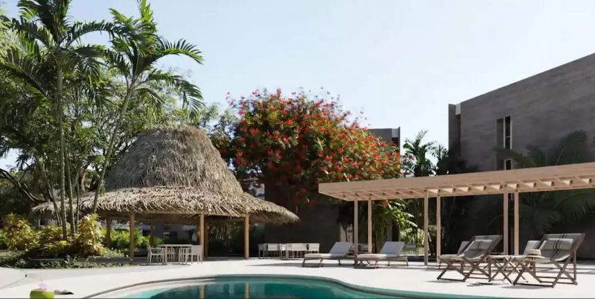 Avalon X项目亮点