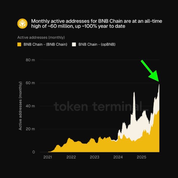 BNB价格首次突破1200美元，链上活跃地址创新高