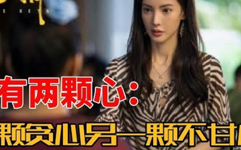 泡沫的持久性：PVP浓度与人性驱动的市场博弈