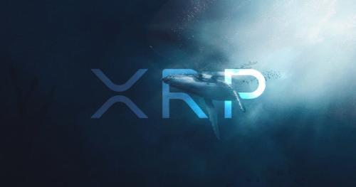 5500万XRP转账至Ripple钱包:市场猜测与潜在影响