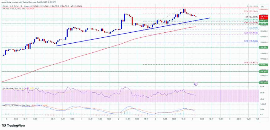 比特币价格飙升至新高——什么可能推动其下一轮上涨？