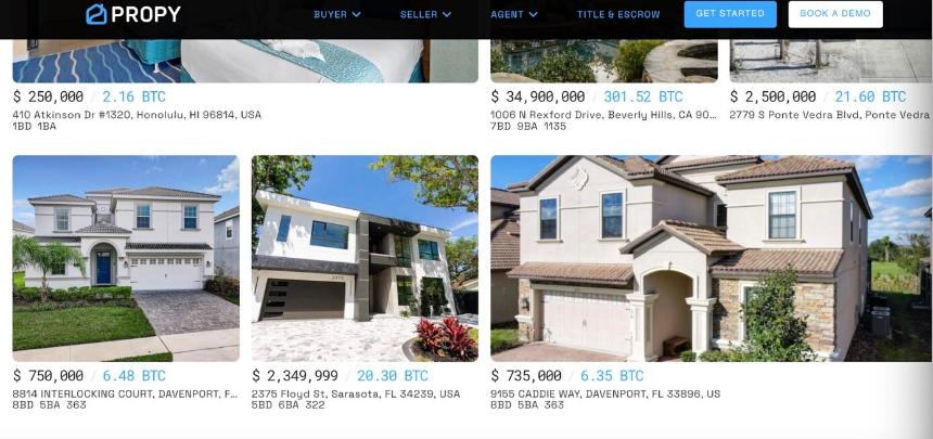 2025加密货币消费新趋势：从豪宅到永生套餐的奢华清单