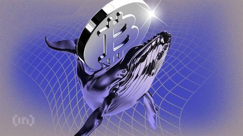 MicroStrategy暂停比特币购买引发市场猜测