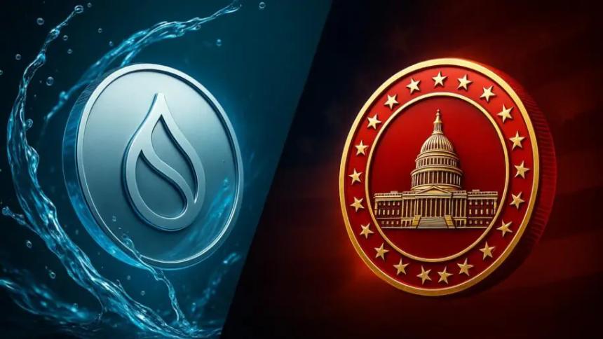SUI与MAGACOIN FINANCE：2025年第四季度投资前景分析