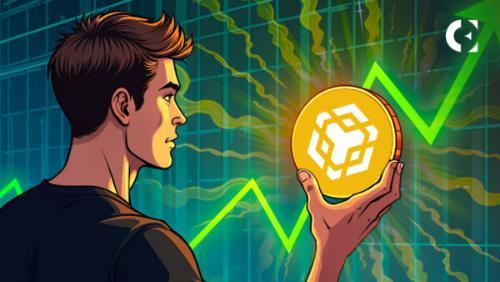 BNB Chain模因币热潮助力逾9.3万名交易者实现5.16亿美元盈利