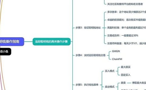 如何追踪聪明钱并进行钱包跟单：Meme币市场操作指南