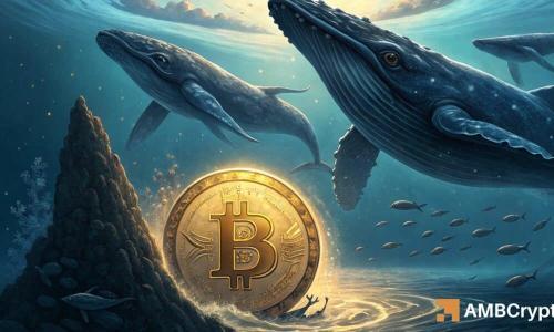 比特币鲸鱼一周囤积6万BTC，若关键支撑位守住有望冲击13.5万美元