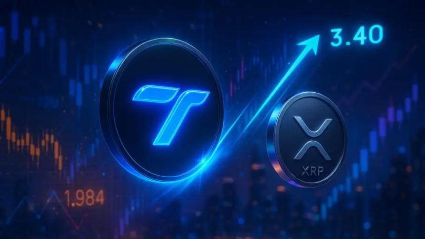 Tapzi预售表现强劲，XRP目标价剑指3.40美元