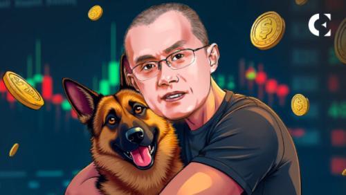 BNB链Memecoin季度盈利超百万美元,鲸鱼主导市场流动性