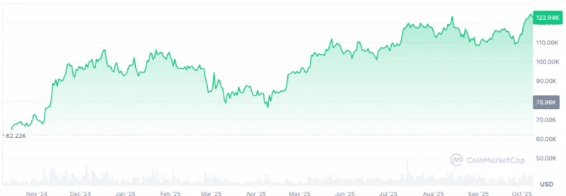 比特币市场现状：95%供应量盈利引发投资者决策分歧