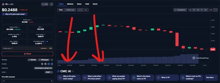 Pi Network的社区力量