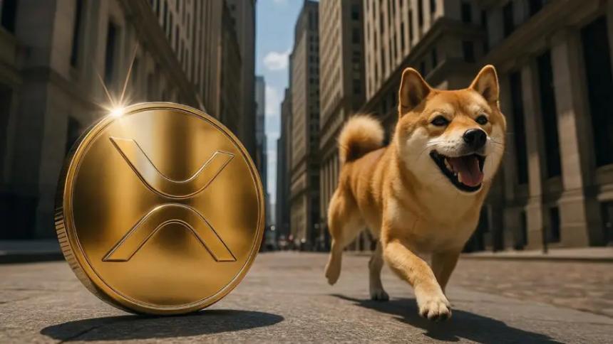 XRP和狗狗币掀起零售投资热潮——MAGACOIN FINANCE与Cardano成预售焦点