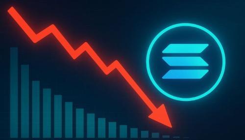 Solana网络活动骤降50%：反弹背后是否隐藏基本面隐忧？
