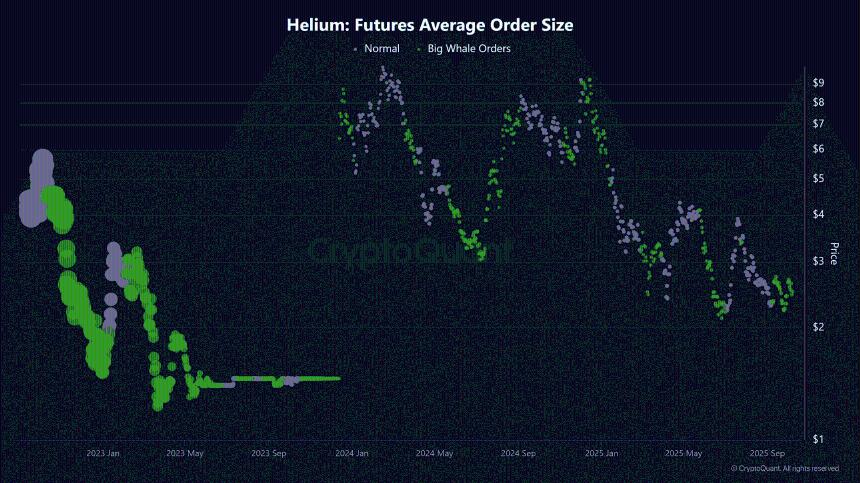 HNT whale orders