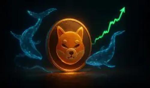 柴犬鲸鱼数量激增70%，揭秘如何让数百万投资者复制其成功路径