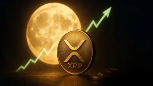 分析师预测 XRP 价格或达 100 美元，Paydax 协议成投资新焦点
