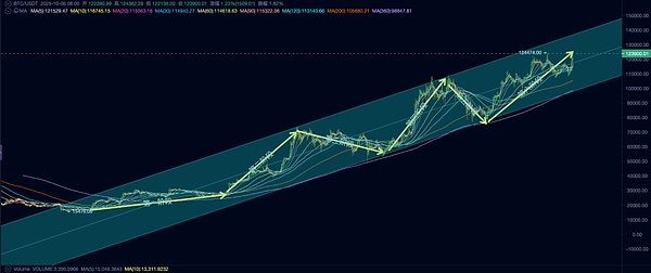 本周期 BTC 市场启动、运行及结束的逻辑分析