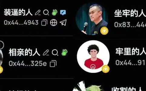 BSC土狗狂欢的背后：某安的资本游戏
