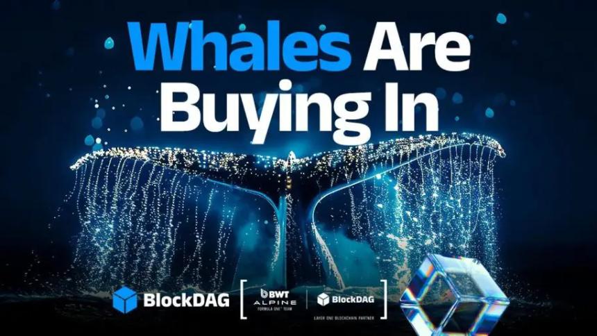 卡尔达诺与狗狗币价格走势疲软,BlockDAG突破4.2亿美元:加密货币新巨头崛起?