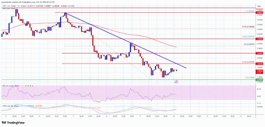 XRP价格持续承压——市场担忧新一轮大规模抛售或将来临