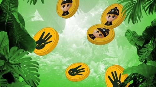 BNB链Memecoin崩盘:一夜暴跌90%,徐明星直指“信仰式传销”本质