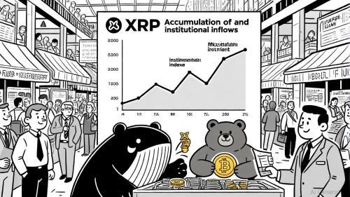 XRP市场迎来关键拐点：鲸鱼增持与机构回归能否逆转行情？