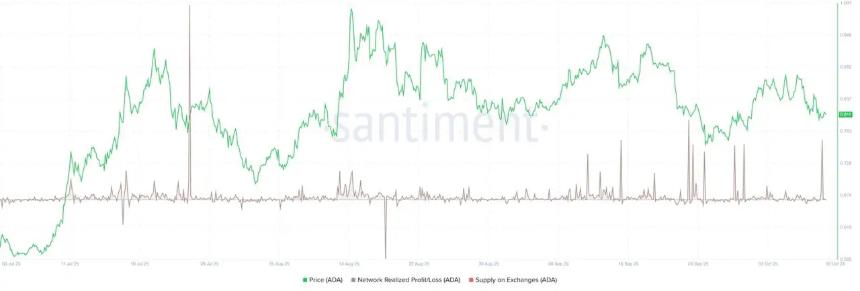 MAGACOIN FINANCE 预测投资回报率达 10,000% — 以太坊和 Cardano 巨鲸加入早期预售轮