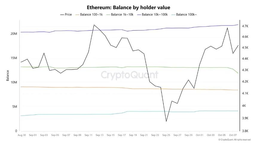 MAGACOIN FINANCE 预测投资回报率达 10,000% — 以太坊和 Cardano 巨鲸加入早期预售轮