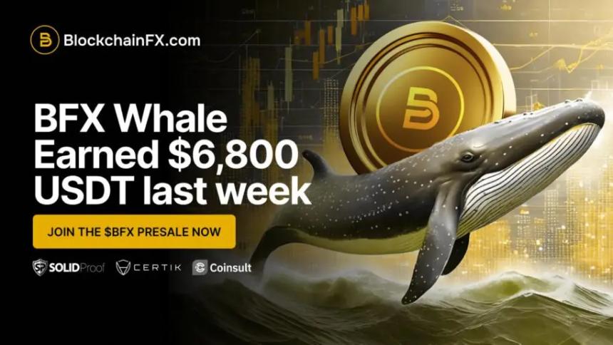 Uptober热潮：五大加密货币预售项目盘点，BlockchainFX引领市场焦点