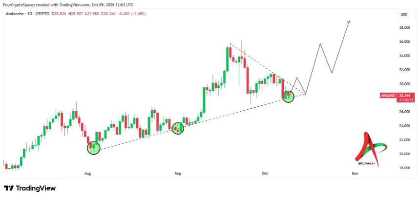 Avalanche (AVAX)、Dogecoin (DOGE) 和 Remittix (RTX) 被评为目前最值得购买的加密货币