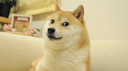 狗狗币基金会旗下公司House of Doge将与电子竞技公司Brag House Holdin<span class='keyword'>gs</span>合并上市