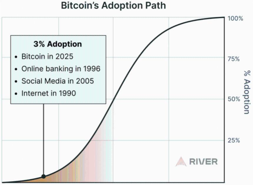 Adopce bitcoinu