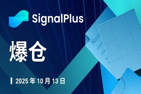 SignalPlus宏观分析特别版：加密市场惨遭爆仓风暴