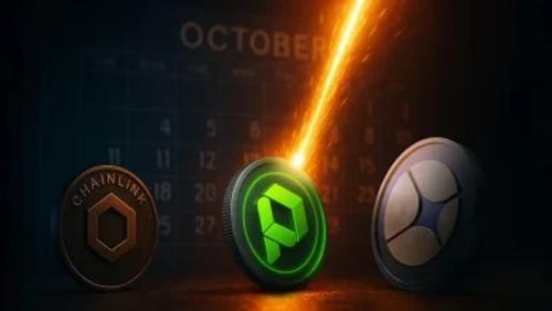 Paydax(PDP)或将在2025年掀起50,000%涨幅风暴,Chainlink与ASTER如何应对?