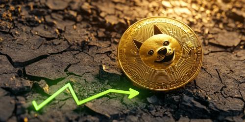 贸易战担忧缓解提振市场信心，狗狗币单日反弹17%