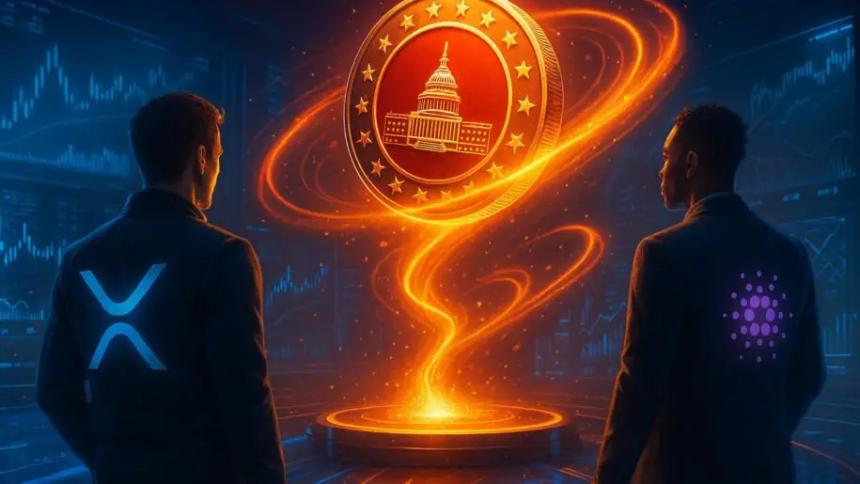 MAGACOIN FINANCE预售势头强劲——XRP与Cardano交易者关注9,000%的投资回报率潜力