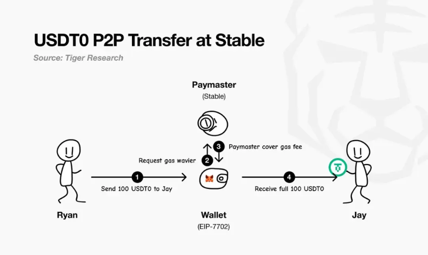 深入解读稳定币公链：Plasma、Stable和Arc